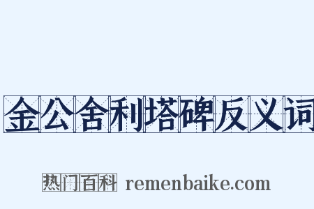 金公舍利塔碑反义词是什么意思的图片